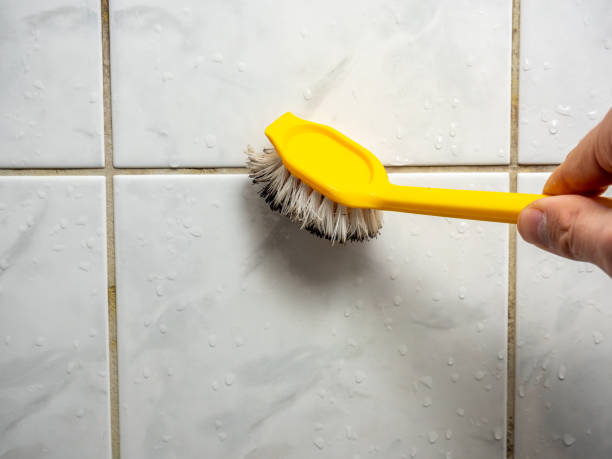 Best Certified Mold Removal  in Peru, IN