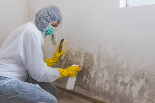 Water Damage Restoration in Peru, IN