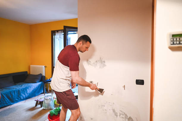 Best Mold Remediation  in Peru, IN